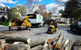 Best Lawn Dethatching  in Wilsonville, AL