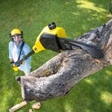 Best Lawn Mowing  in Wilsonville, AL