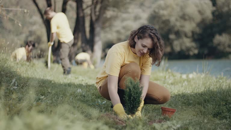 Best Lawn Watering Services  in Wilsonville, AL