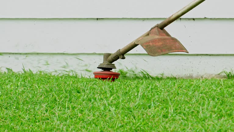 Grass Overseeding in Wilsonville, AL