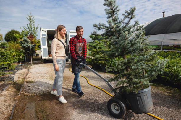 Best Lawn Irrigation Installation and Maintenance  in Wilsonville, AL